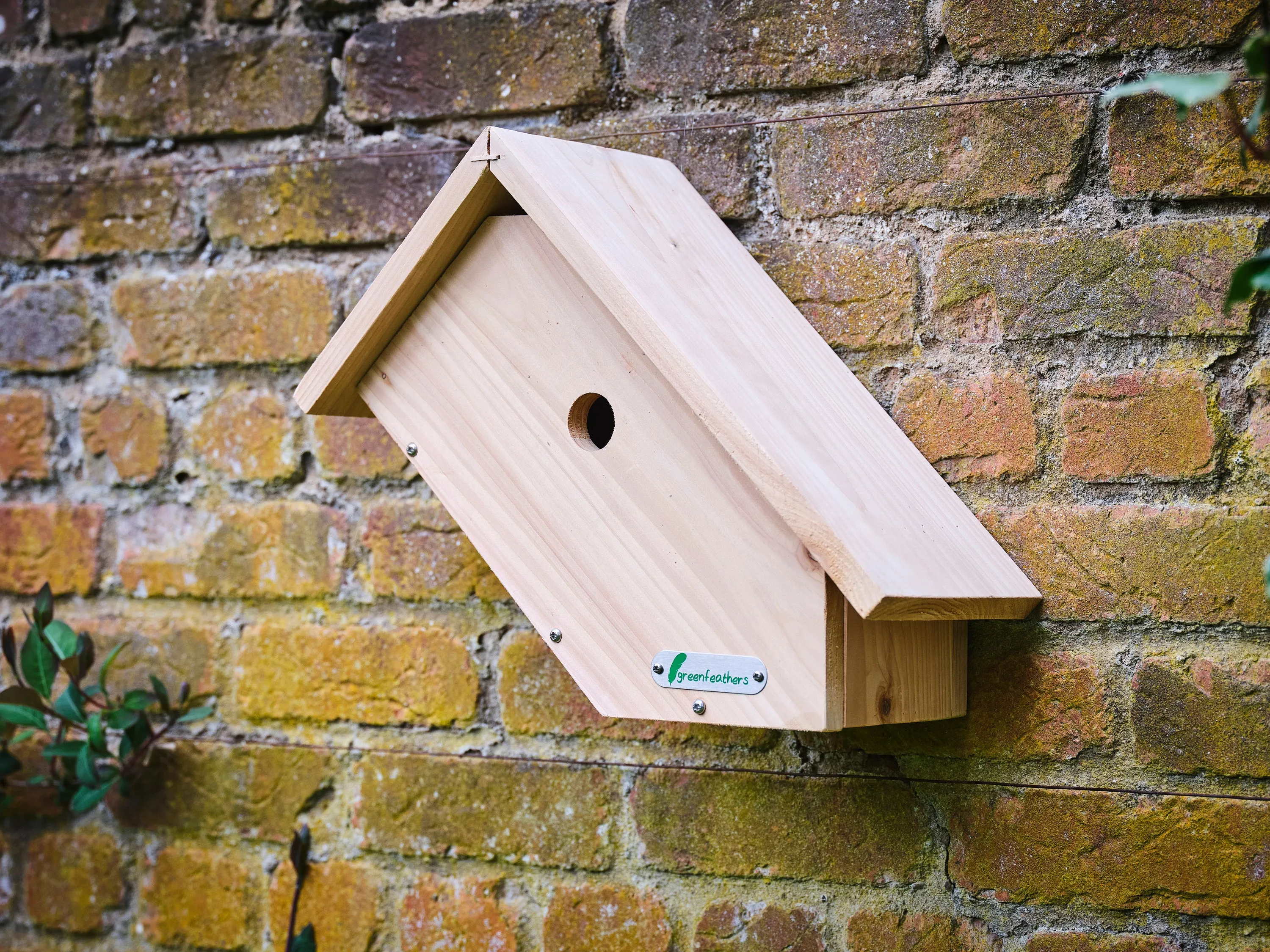 Handmade Wooden Side View Bird Box