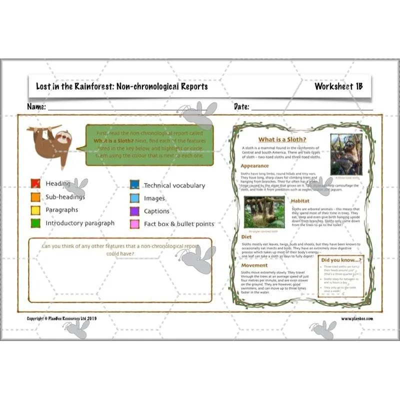 Lost in the Rainforest: Non-chronological Reports