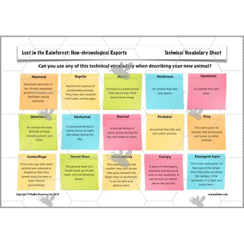 Lost in the Rainforest: Non-chronological Reports
