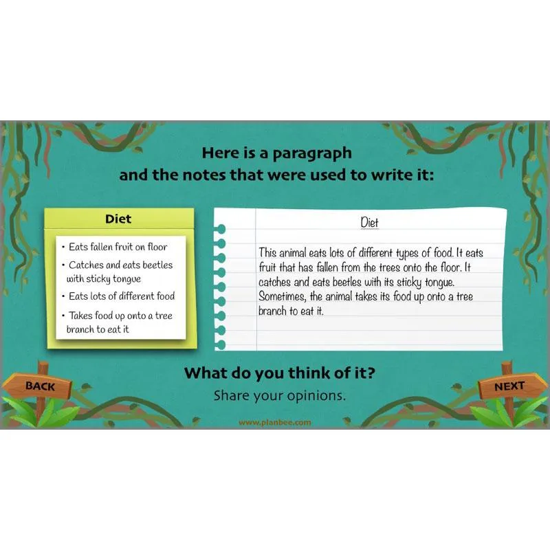 Lost in the Rainforest: Non-chronological Reports