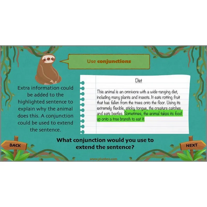 Lost in the Rainforest: Non-chronological Reports