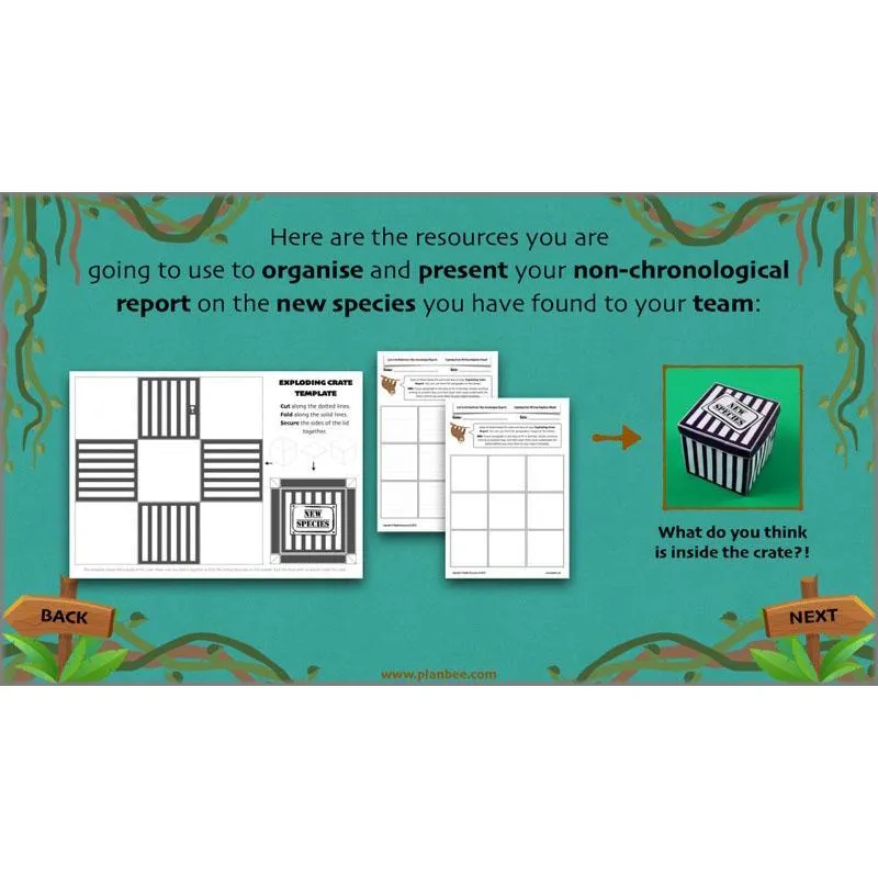 Lost in the Rainforest: Non-chronological Reports