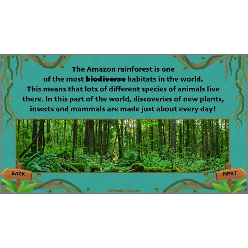 Lost in the Rainforest: Non-chronological Reports
