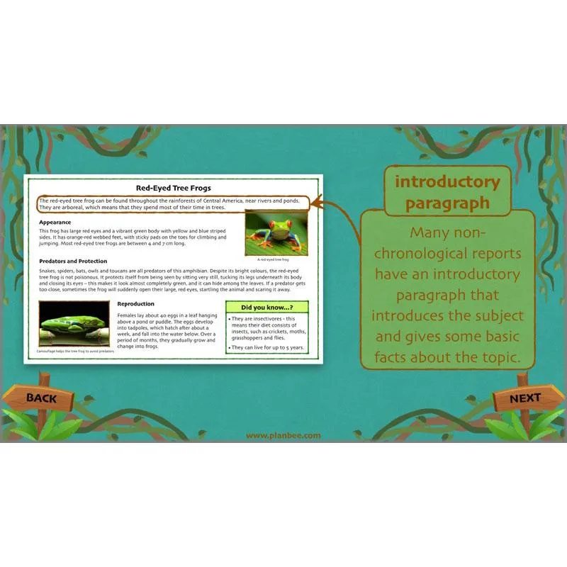 Lost in the Rainforest: Non-chronological Reports