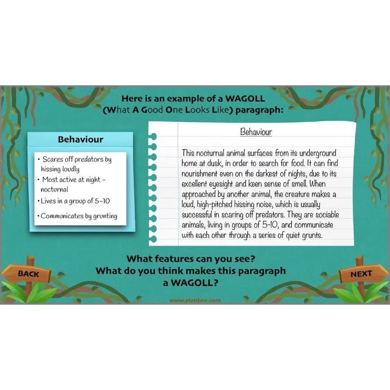 Lost in the Rainforest: Non-chronological Reports