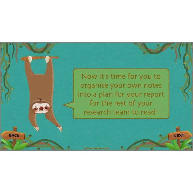 Lost in the Rainforest: Non-chronological Reports