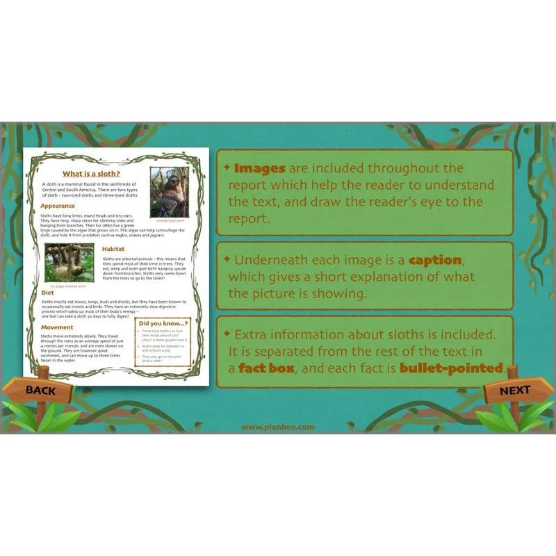 Lost in the Rainforest: Non-chronological Reports
