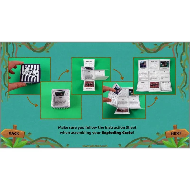 Lost in the Rainforest: Non-chronological Reports