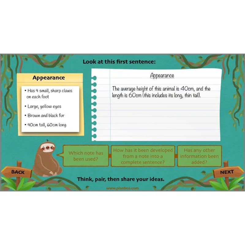 Lost in the Rainforest: Non-chronological Reports