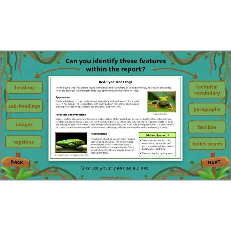 Lost in the Rainforest: Non-chronological Reports