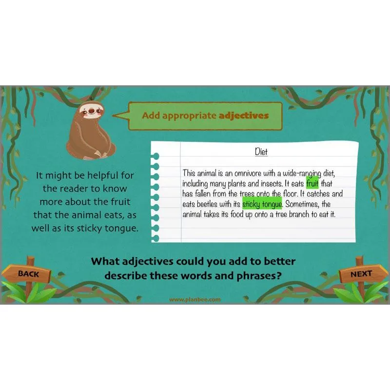 Lost in the Rainforest: Non-chronological Reports