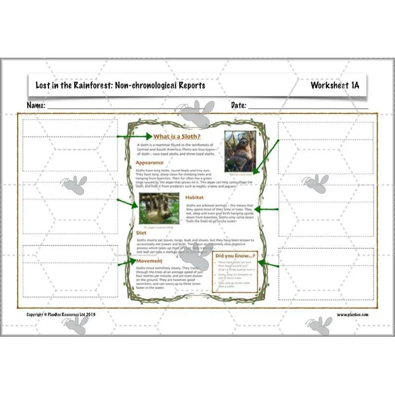 Lost in the Rainforest: Non-chronological Reports