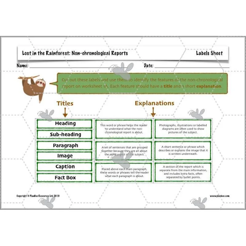 Lost in the Rainforest: Non-chronological Reports