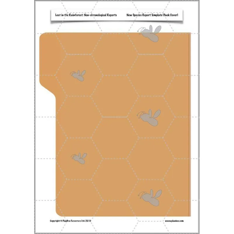 Lost in the Rainforest: Non-chronological Reports