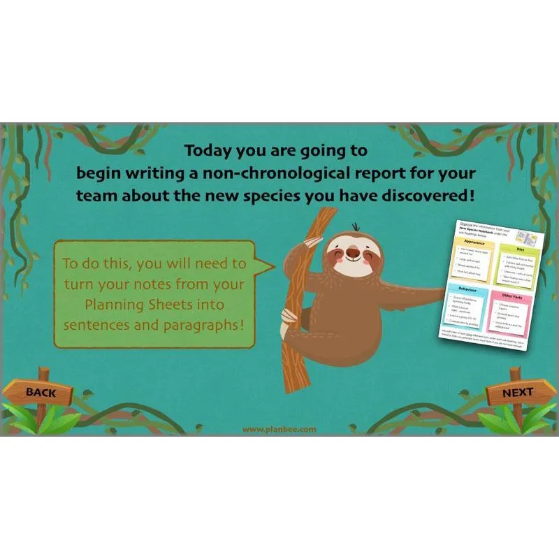 Lost in the Rainforest: Non-chronological Reports