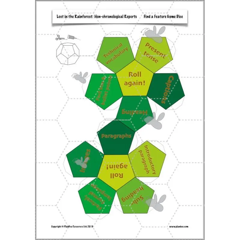 Lost in the Rainforest: Non-chronological Reports