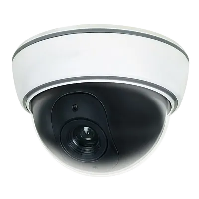 Non-Functioning Dome Camera
