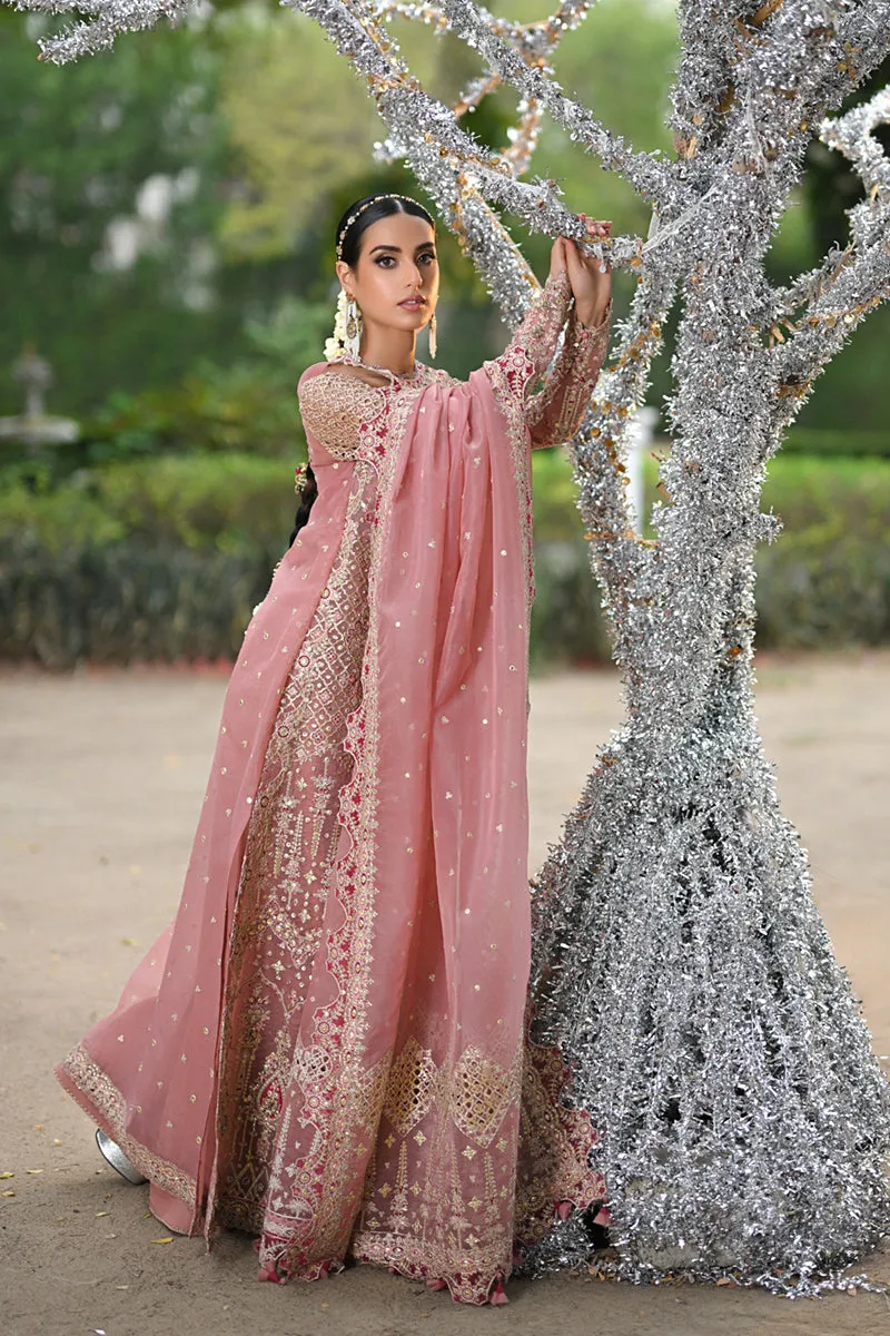 Singhar Wedding Formals '24 - Rf-02 Saleha