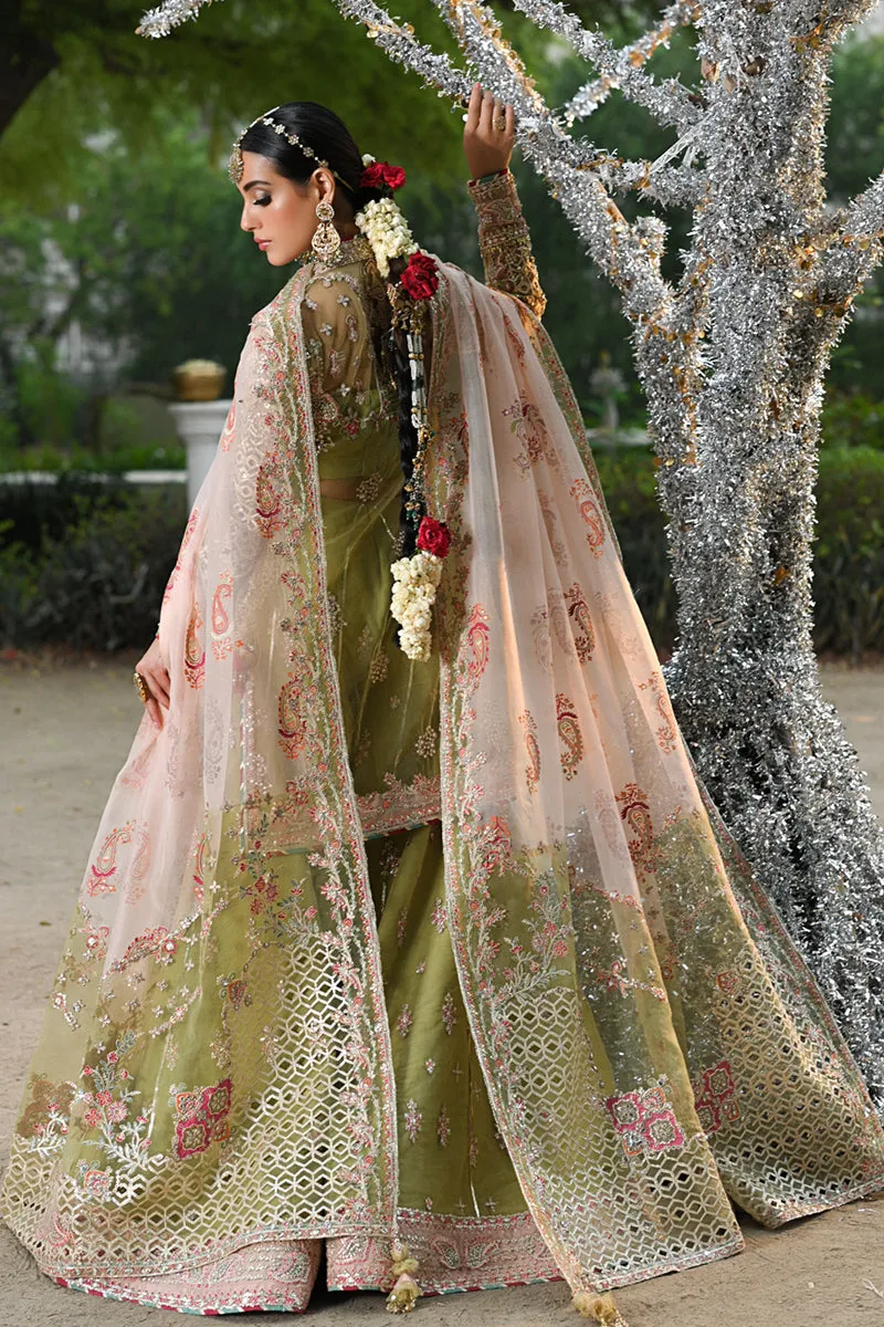 Singhar Wedding Formals '24 - Rf-07  Halena