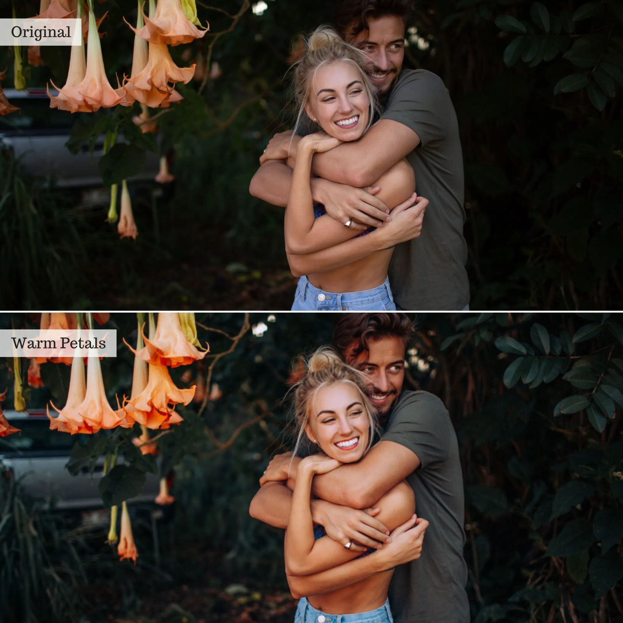 Warm Petals -  Single Color Palette Presets for Lightroom Mobile & Desktop