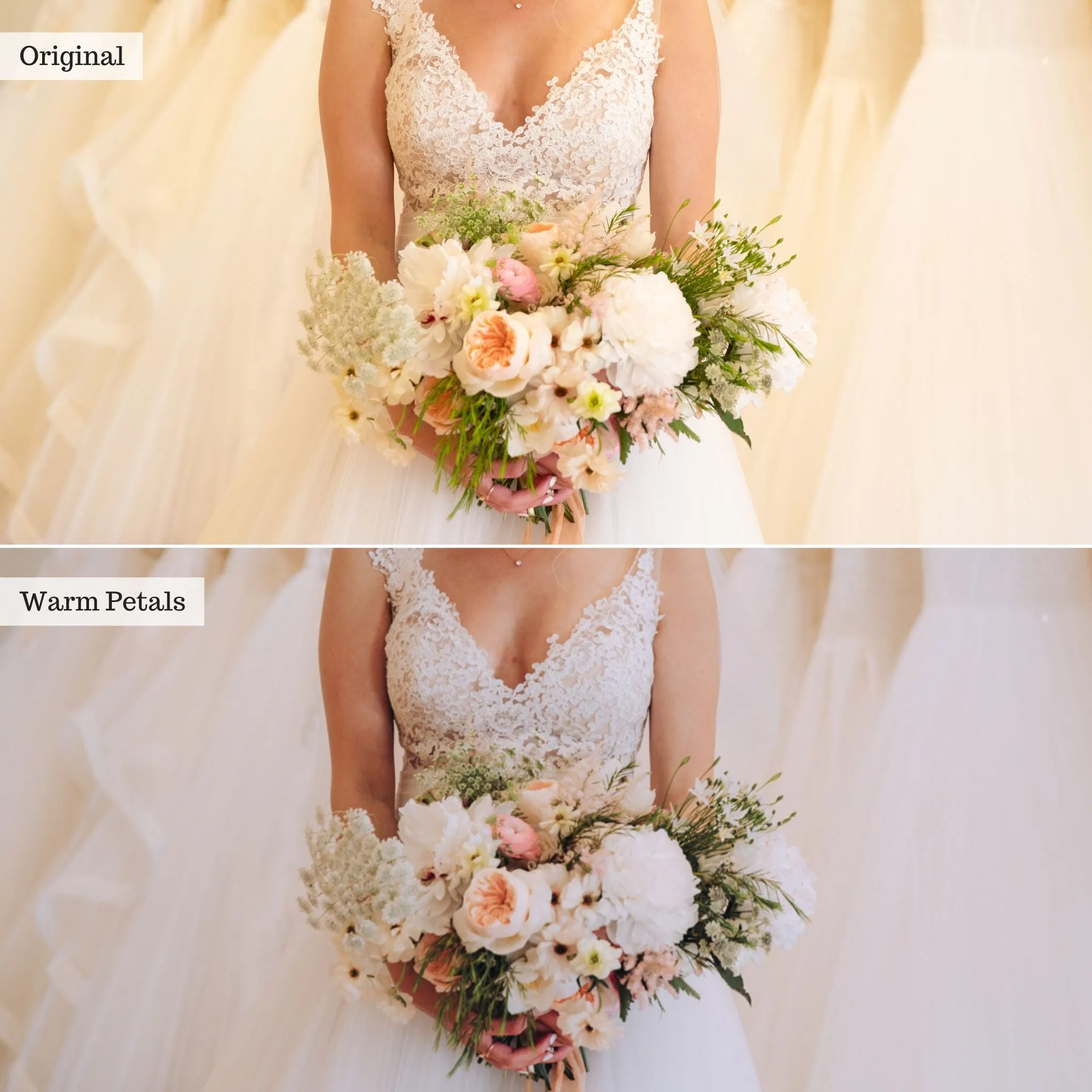 Warm Petals -  Single Color Palette Presets for Lightroom Mobile & Desktop