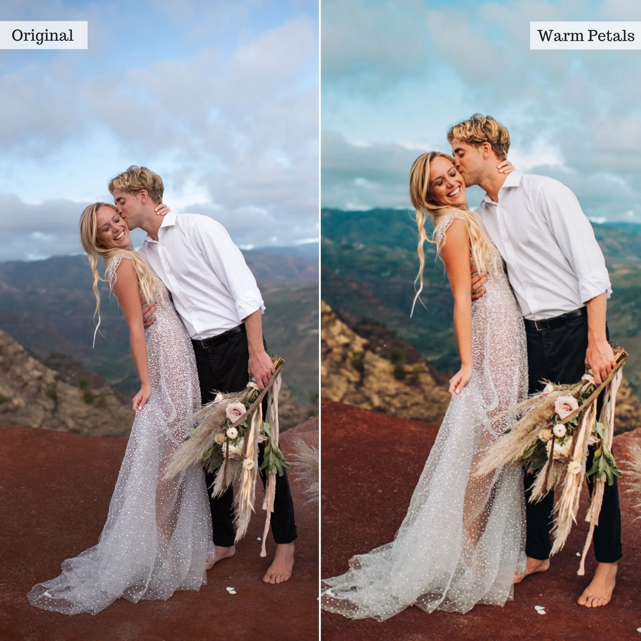 Warm Petals -  Single Color Palette Presets for Lightroom Mobile & Desktop