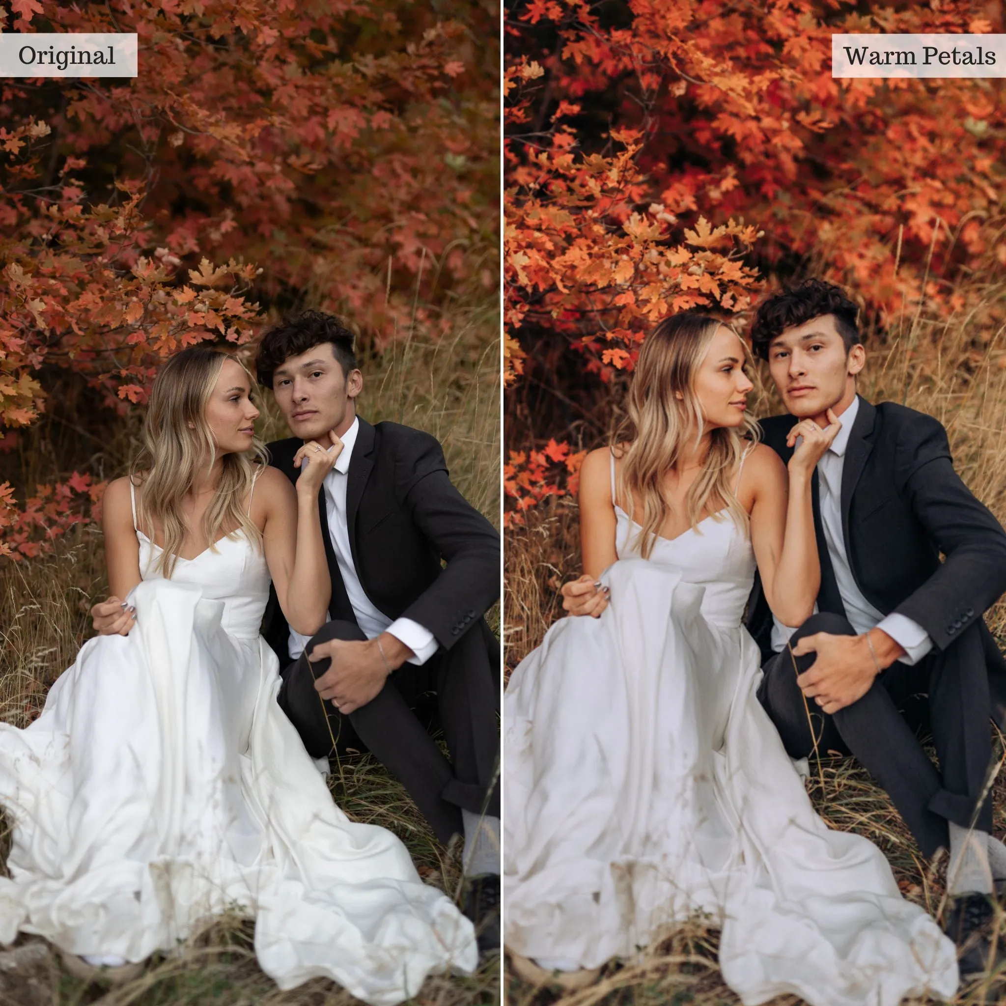 Warm Petals -  Single Color Palette Presets for Lightroom Mobile & Desktop
