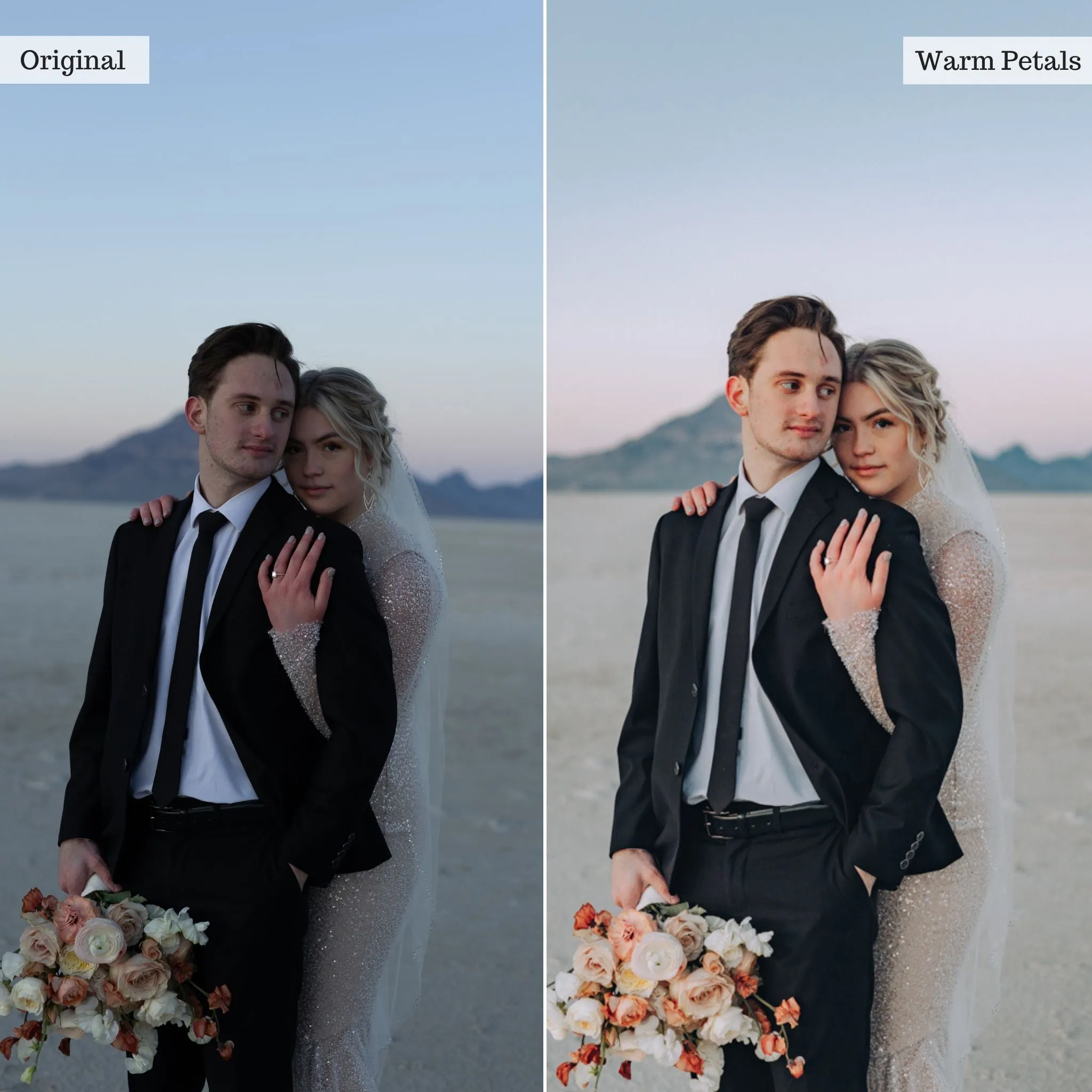 Warm Petals -  Single Color Palette Presets for Lightroom Mobile & Desktop