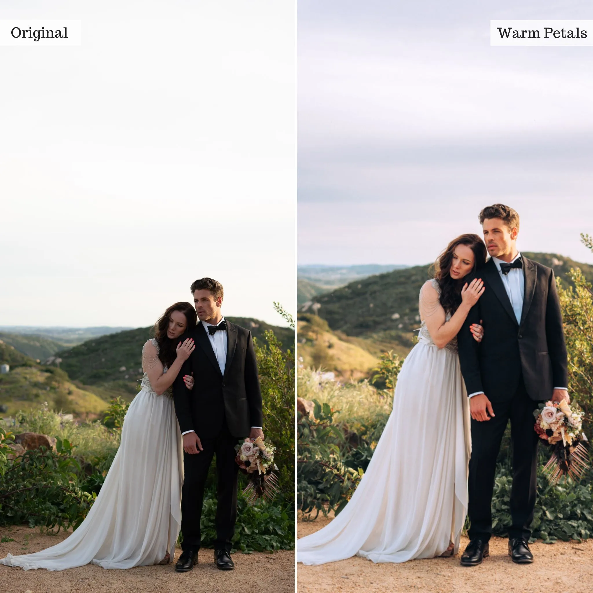 Warm Petals -  Single Color Palette Presets for Lightroom Mobile & Desktop