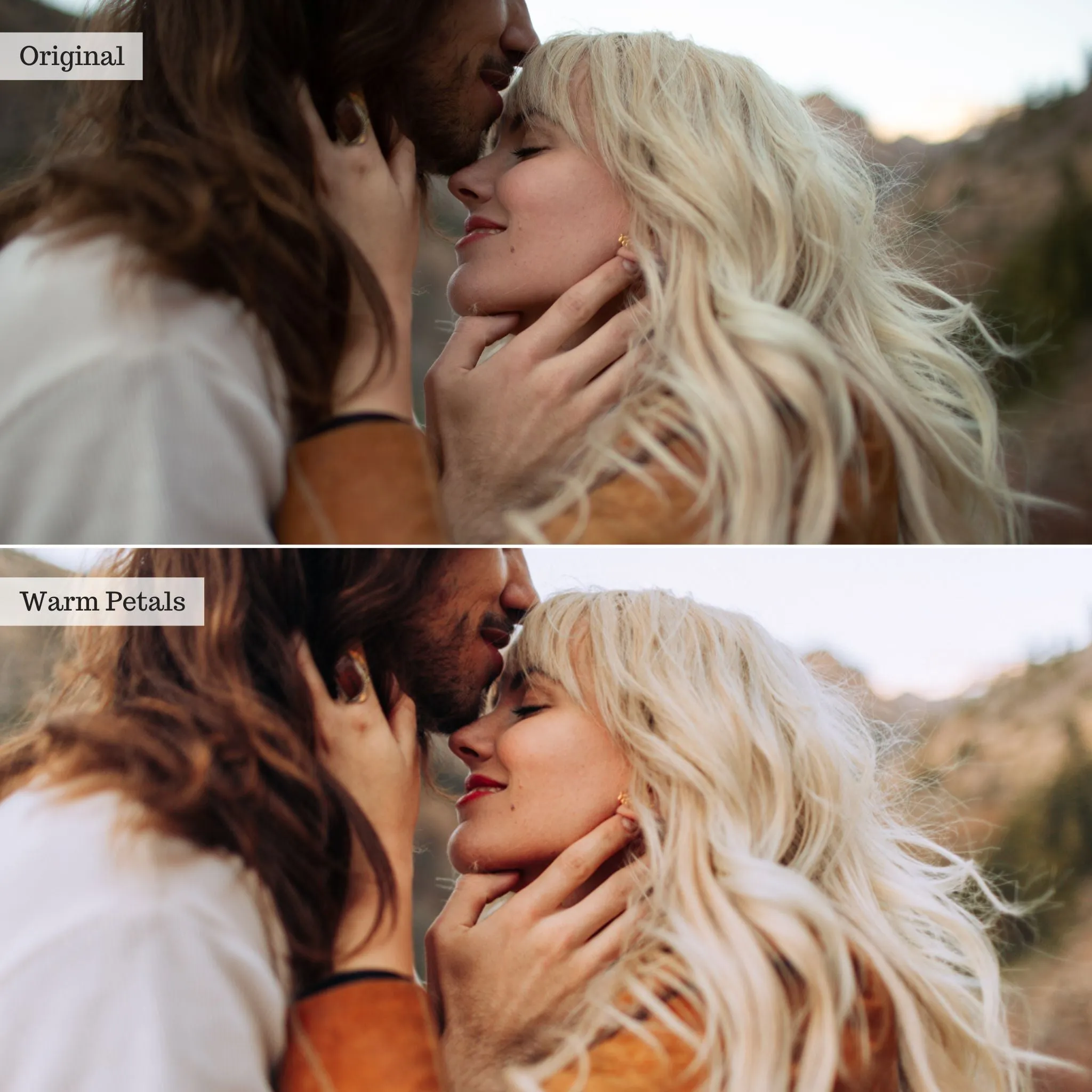 Warm Petals -  Single Color Palette Presets for Lightroom Mobile & Desktop